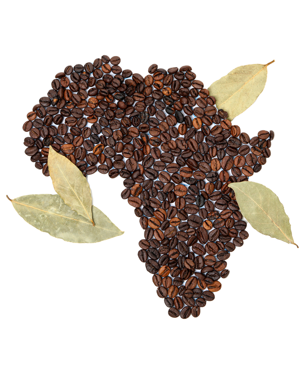 africa